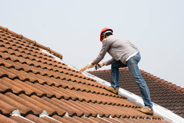 Best Roof Leak Repair  in Webster Groves, MO